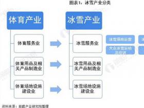 预见2021：《2021年中国冰雪产业全景图谱》