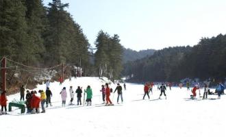 河北：与冬奥筹办协同推进，让冰雪产业成为新产业增长点