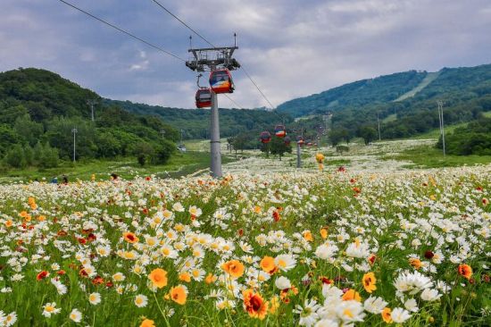 冰雪吉林展开夏季行动：景区推新项目重聚人气3