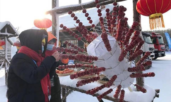 第十九届中国长春净月潭瓦萨国际滑雪节，净月潭盛大启幕！ 4