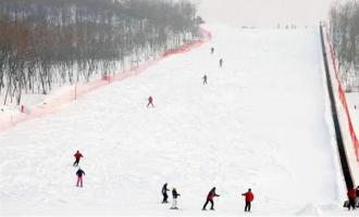 崇礼多乐美地滑雪场有多少条滑雪道？