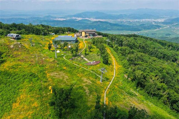 夏日里的万科松花湖滑雪场山顶花海